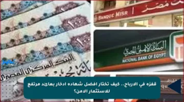 قفزة في الأرباح.. كيف تختار أفضل شهادة ادخار بعائد مرتفع للاستثمار الآمن؟